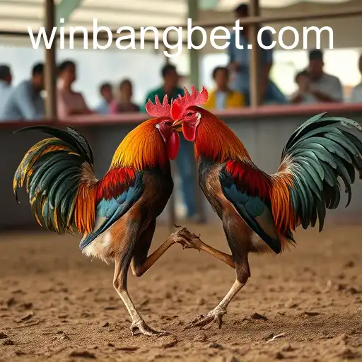Cockfighting: A Tradition Under Scrutiny